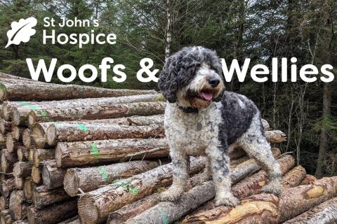 St John's Hospice - Events in May