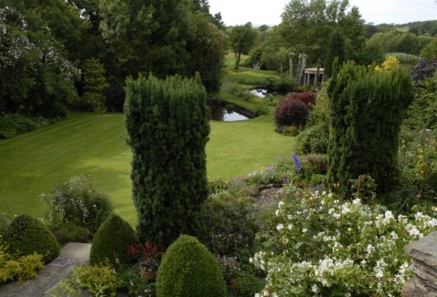 Clearbeck House Open Garden