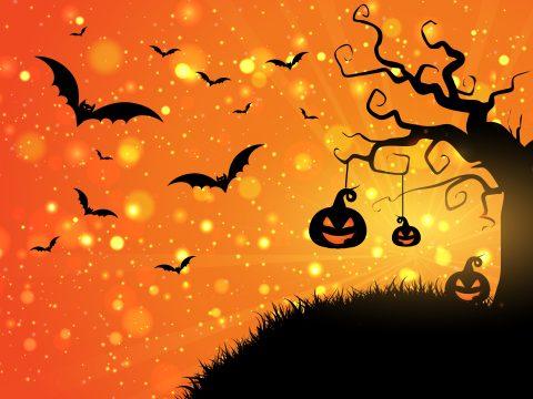 Spooky and Sparkly - Autumn events in Lancaster and Beyond